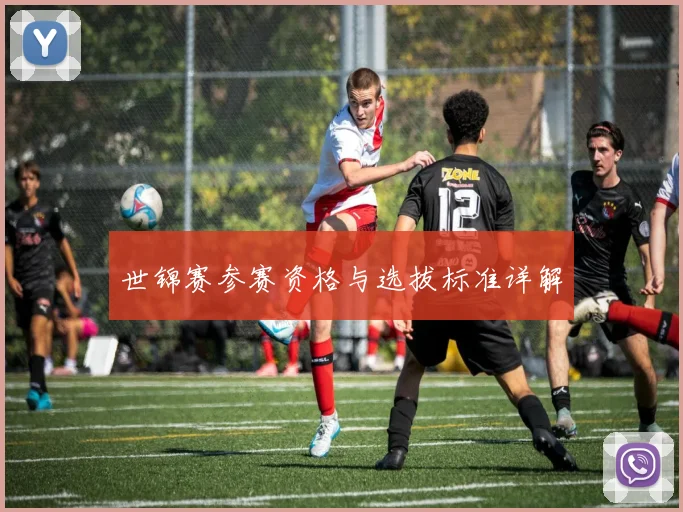 世锦赛参赛资格与选拔标准详解